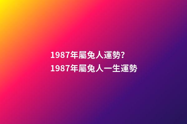 1987年屬兔人運勢？ 1987年屬兔人一生運勢-第1張-觀點-玄機派